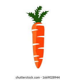 Fresh carrot vector, for graphic designer logos and web pages.