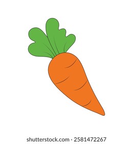 Fresh Carrot vector icon set


