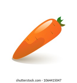 fresh carrot vector illustration