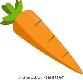 Fresh carrot vector illustration isolated on white background.