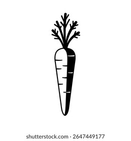 Fresh Carrot Vector Illustration - Organic Root Vegetable Icon for Healthy Food and Nutrition Designs