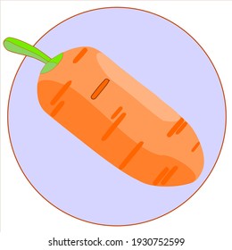 vector de zanahoria fresco con color naranja y fondo azul