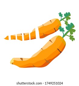 
Fresh carrot vector with white background