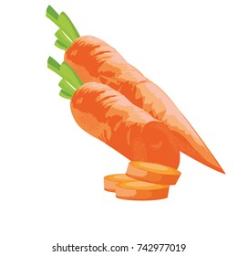 fresh carrot vegetable