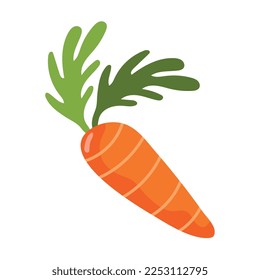 fresh carrot vegetable healthy food