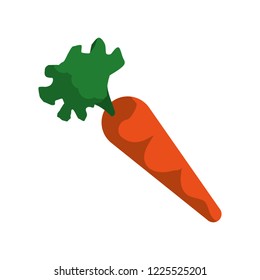 fresh carrot vegetable icon