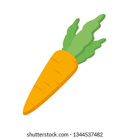 fresh carrot vegetable icon