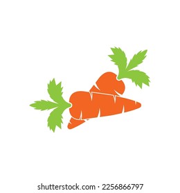 Fresh carrot vegetable icon,logo vector illustration design template.