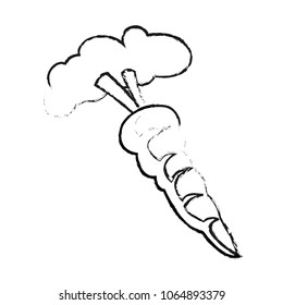 Fresh carrot vegetable sketch