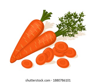 Fresh carrot vegetables vector design. Vegetable of farm for market product