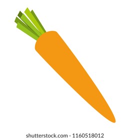 fresh carrot vegetarian food