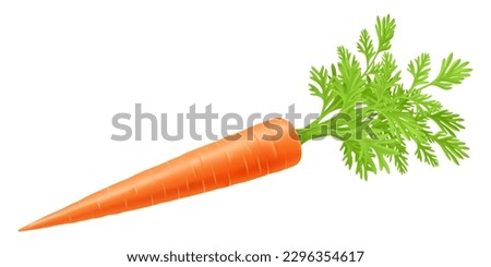 Fresh carrots with green stems, isolated on white. Side view. Close up. Realistic 3d vector illustration. for cooking, menu, Herbal medicine, skin care, ointments, prints, web design