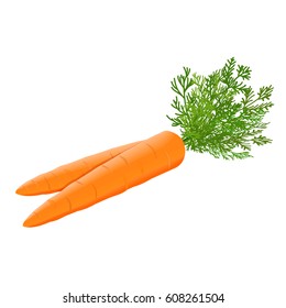 Fresh carrots heap with green stems isolated. Side view. Close up. vector illustration. for cooking, cosmetics, Herbal medicine, skin care, ointments, labels, prints, wrapping, web design