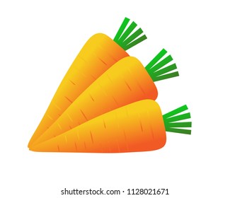 fresh carrots isolated on white background : vector - paper art style