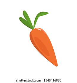 Fresh carrots on white background 