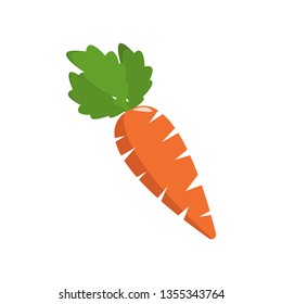 Fresh carrots on white background 