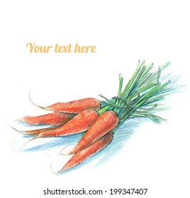 Fresh carrots on white background. Vector illustration. Hand-drawn with crayons.