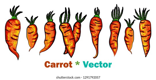 Fresh Carrots set with green tops. Cartoon banner