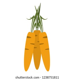 Fresh carrots vegetables
