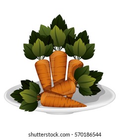 Fresh carrots vegetables