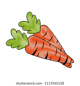 fresh carrots vegetarian food