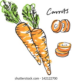 Fresh carrots whole sliced & carrot sticks vector illustration