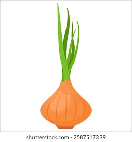 Fresh cartoon vegetable onion.Isolated on white background.