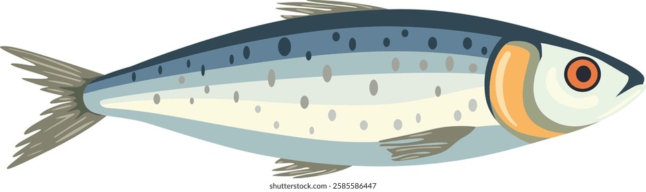 Fresh Catch Sardine Isolated on White