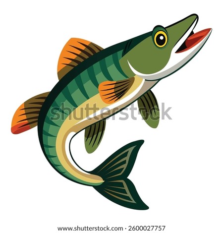 Fresh Caught Pike Fish on White