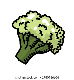 Vector de ilustraciones de flores de cauli fresco aislado en el fondo blanco