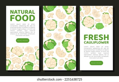 Fresh Cauliflower Banner Design with Brassica Vegetable Head Vector Template