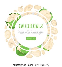 Fresh Cauliflower Banner Design with Brassica Vegetable Head Vector Template