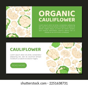 Fresh Cauliflower Banner Design with Brassica Vegetable Head Vector Template