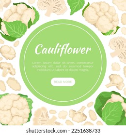 Fresh Cauliflower Banner Design with Brassica Vegetable Head Vector Template