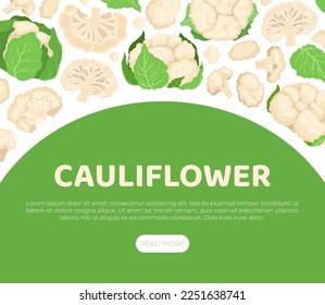 Fresh Cauliflower Banner Design with Brassica Vegetable Head Vector Template