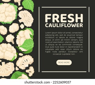 Fresh Cauliflower Banner Design with Brassica Vegetable Head Vector Template