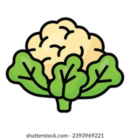 Fresh cauliflower with green leaves, healthy and organic food