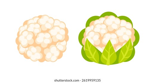 Fresh Cauliflower Heads with and without Green Leaves Resting on White Background