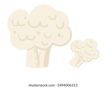 Fresh cauliflower, shown whole and sectioned to highlight its white florets. Perfect for healthy eating promotions, culinary uses in recipes, and vegetable-focused content. Vector illustration.