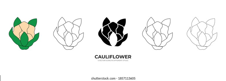 fresh cauliflower vector type icon