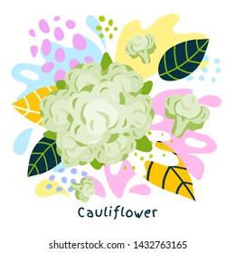 Fresh cauliflower vegetable juice splash organic food juicy vegetables splatter on abstract coloful splatter splash background vector hand drawn illustrations