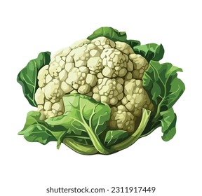 Fresh cauliflower vegetables, ripe for healthy eating icon isolated