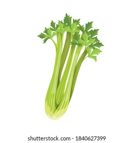 Fresh Celery Bunch. Cartoon Style Farm Fresh Vegetable Drawing. Natural Eco Food, Dieting. Vector Illustration Isolated On White Background.