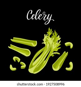 Fresh celery bunch, stalks and chopped. Healthy nutrition product. Vector hand drawn flat isolated illustration with hand written lettering for your design on black background.