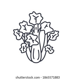 Fresh celery icon, linear isolated illustration, thin line vector, web design sign, outline concept symbol with editable stroke on white background.