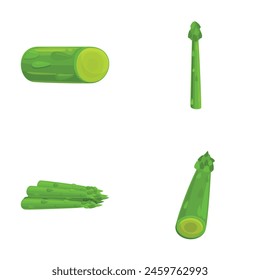 Fresh celery icons set cartoon vector. Juicy organic green celery. Agriculture cultivated plant