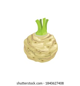 Fresh Celery Root. Cartoon Style Farm Fresh Vegetable Drawing. Natural Eco Food, Dieting. Vector Illustration Isolated On White Background.