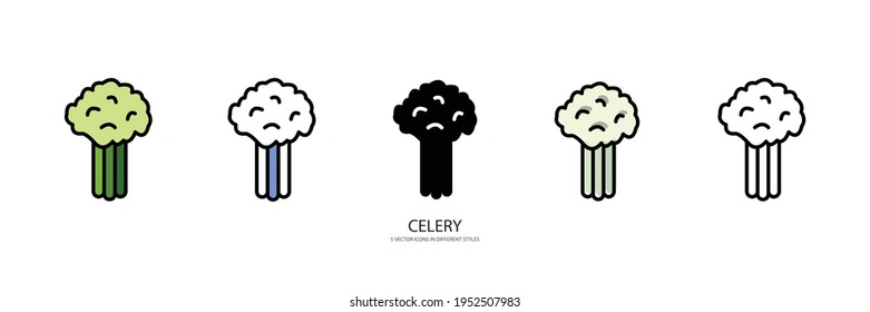 fresh celery vector type icon