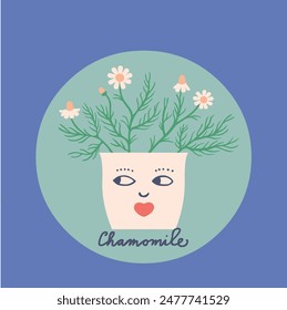 fresh chamomile in flower pot, funny cute face, flat design