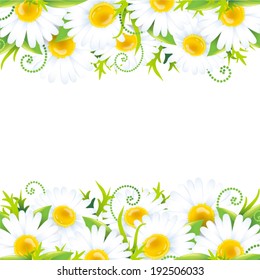 Fresh chamomile summer frame on white background
